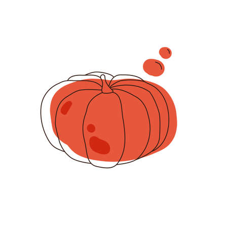 Pumpkin doodle art. autumn vegetable. Orange pumpkin with a dark line illustration on a white background.のイラスト素材