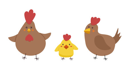 chicken family. Mom hen, dad rooster and baby chick vector illustrationのイラスト素材