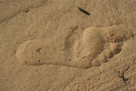 footprints on beach sandsの写真素材
