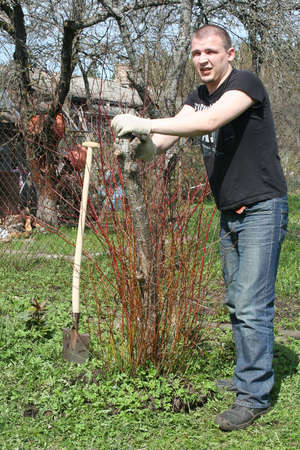 Young gardener with spade in gardenの写真素材