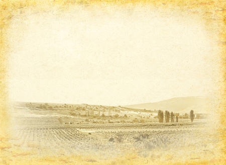 Wine bottle label  for your design  Vintage wine poster at old paper background  Ancient framed page with vineyard  illustration の写真素材