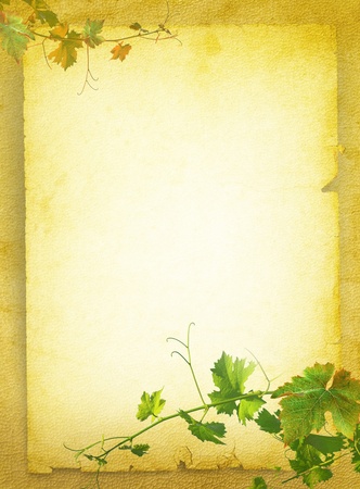 Wine list menu with grapes green leafs on the old blank paper  Vintage background for the wine poster on textured old parchment の写真素材