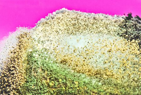 Fungus of mold, colored mold colonies on the food  Mold spores  macro shot  - various colonies of...