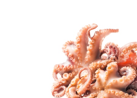 Seafood menu - tentacle of octopusの写真素材