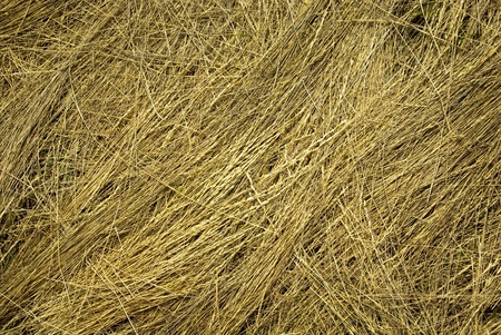 Straw background - dry grass hay closeupの写真素材