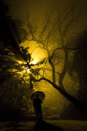 night in a kibbutzの写真素材