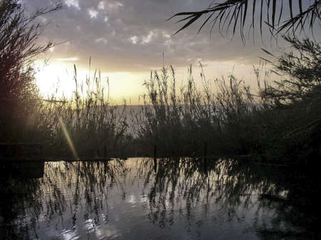 The end of the day at the springの写真素材