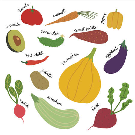 Collection of hand drawn vegetable illustrations with letteringのイラスト素材