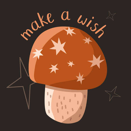 Beautiful Amanita muscaria mushroom with star cap and quote make a wishのイラスト素材
