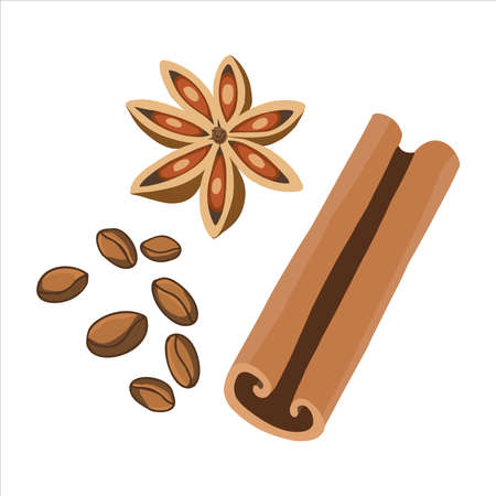 Cinnamin bark, anise star and coffee beans spicy drinkのイラスト素材