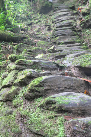 Stone stairs built by the Tayrona indigenous anmericans around 800AD  They lead to Ciudad Perdida ...