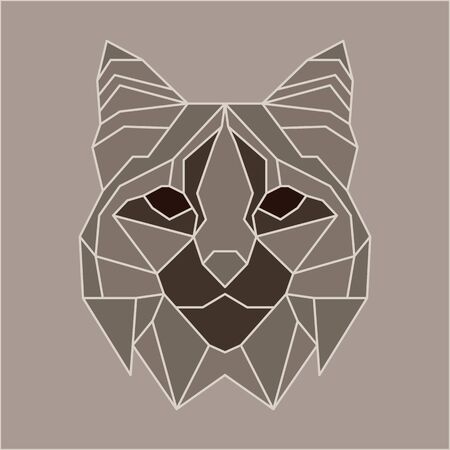 Brown and beige low poly bobcat. Geometric line artのイラスト素材
