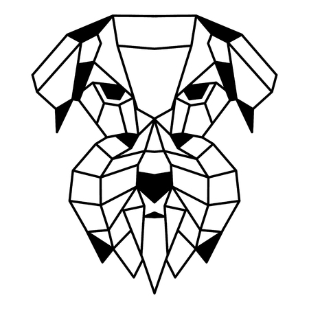 Low polygonal portrait of a schnauzer. Nice vector graphic illustration.のイラスト素材