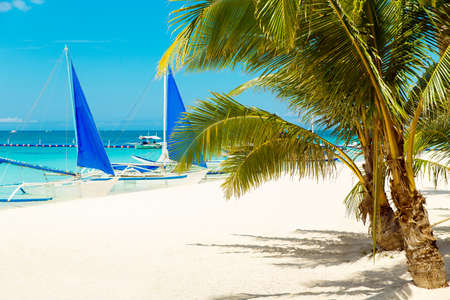Beautiful landscape of tropical beach on Boracay island, Philippines. Coconut palm trees, sea, sailboat and white sand. Nature view. Summer vacation concept.の写真素材