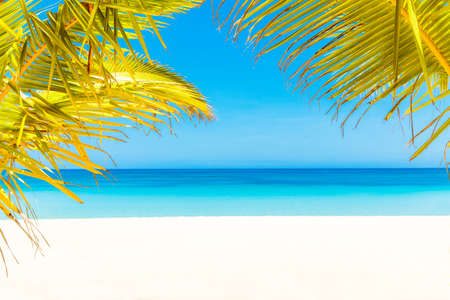 Beautiful landscape of tropical beach on Boracay island, Philippines. Coconut palm trees, sea,...