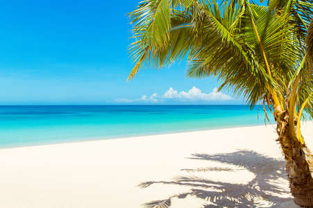 Beautiful landscape of tropical beach on Boracay island, Philippines. Coconut palm trees, sea,...
