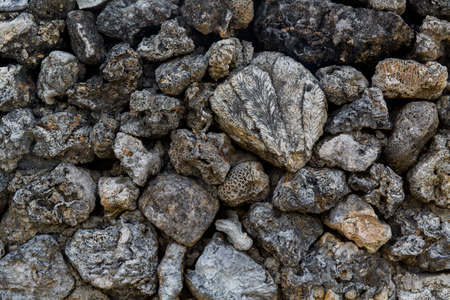 The texture of an ancient Chinese stone wall made of stones, corals and seashells.
