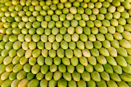 Green mangoes lined up in a row at a street market.の写真素材