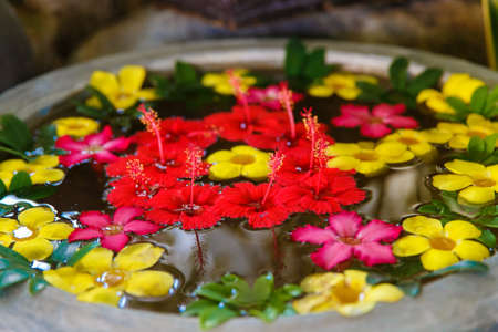 decorative colorful exotic flowers in the water for Spa-salonの写真素材