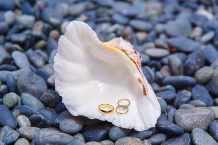 Wedding accessories. A white seashell with wedding and engagement rings lies on the sea pebbles.の写真素材