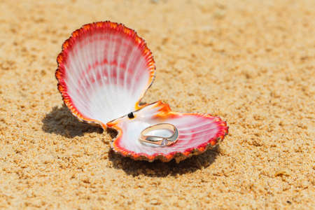 Proposal of marriage. Engagement ring in shells on the sand on the tropical coast.の写真素材