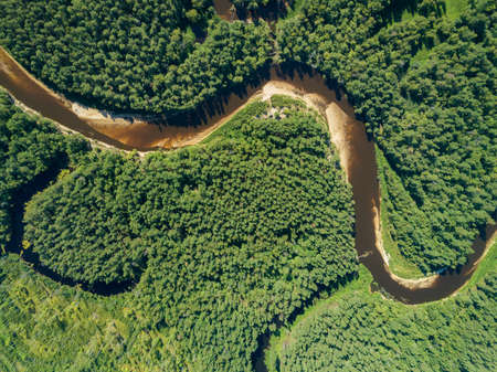 Aerial drone view, the bend of the river with sandy stretches of deep forest on a Sunny day.の写真素材