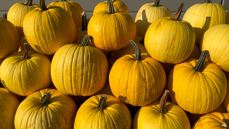 A pile of pumpkins for fall harvest festival, Halloween, and Thanksgiving decor.