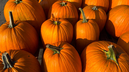 A pile of pumpkins for fall harvest festival, Halloween, and Thanksgiving decor.