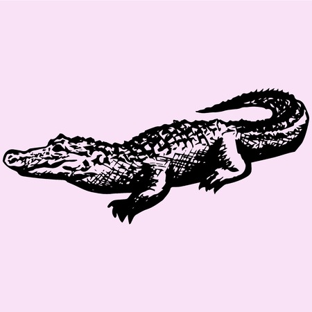crocodile, alligator, doodle style, sketch illustrationのイラスト素材