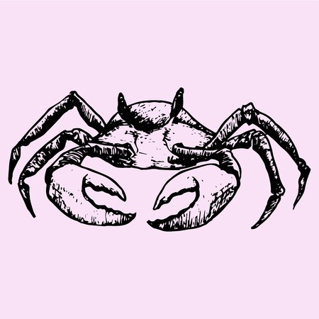 Crab, doodle style sketch illustration hand drawn vectorのイラスト素材