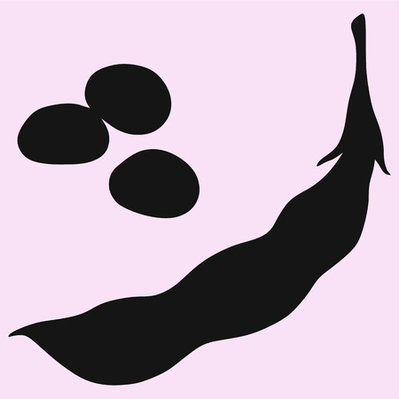 Green soybean vector silhouette isolatedのイラスト素材
