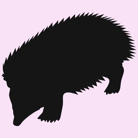 hedgehog vector silhouette isolatedのイラスト素材