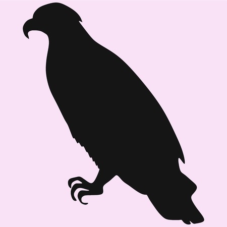 eagle vector bird silhouette isolatedのイラスト素材