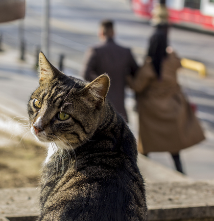 On a blurred background, a young couple passes by.の写真素材