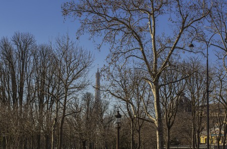 lampposts in the park in early spring in paris near the eiffel towerの写真素材