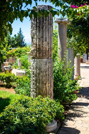 Classic Roman columns. A picturesque alley with antique decorations. The architecture of ancient Rome. Green flowering garden with ancient columns.の写真素材