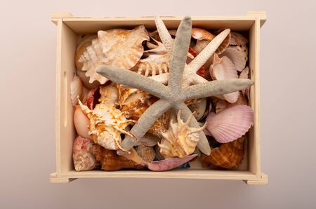 Wooden box with shells on a white background. Sea treasures in a box. Starfish with shellsの写真素材