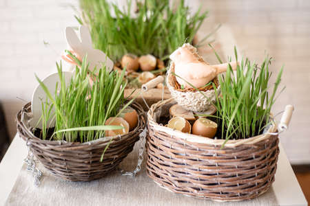 Easter decor with eggs and birdの写真素材