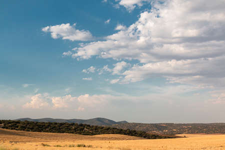 Beautiful couples, fields and landscapes of the Cordoba mountains in Spain. Photograph taken in the month of July.の写真素材