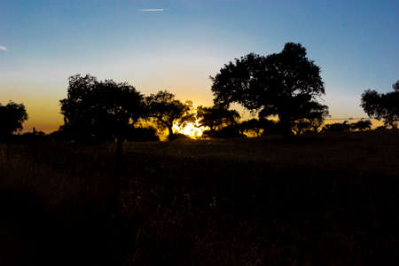 Backlit sunset with yellow, red and blue colors in southern Andalusia, Spainの写真素材