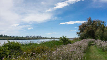 natural park on the outskirts of the city of barcelona in spain. El prat del llobregatの写真素材