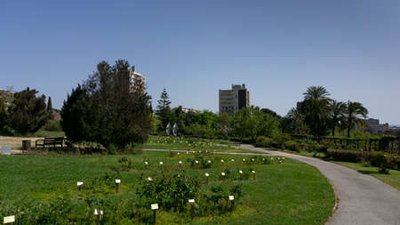 Flower park with urban pergola in Barcelona, in Spainの写真素材