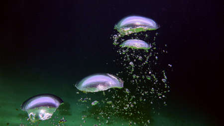 Bubbles in the water. Red sea, Eilat, Israel.                    の写真素材