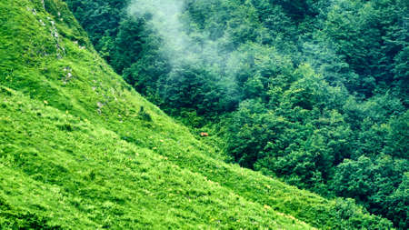 Beautiful landscape on mountain with nice sky, Achisho, Sochiの写真素材