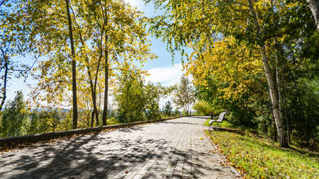 View of path in Lagerniy Sad, autumn in Tomsk, Siberia