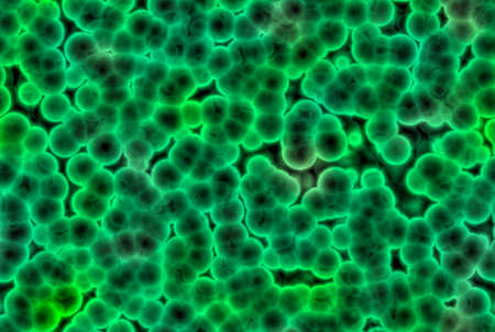 Abstract  cells of bacteria of green colour