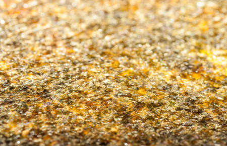 Dried green sushi nori sheet , textured backgroundの写真素材