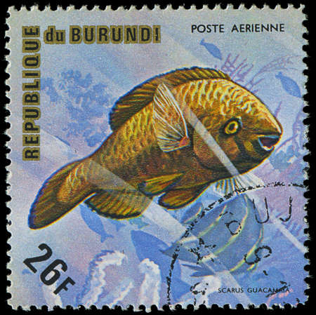 Republic of Burundi, - CIRCA 1975  A stamp printed by Burundi shows the fish Scarus guacanata, circa...