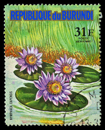 REPUBLIC OF BURUNDI - CIRCA 1974: A stamp printed in Republic of Burundi shows Nymphaea Capensis, series, circa 1974のeditorial素材