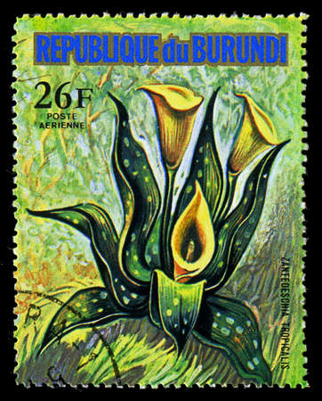 REPUBLIC OF BURUNDI - CIRCA 1974: A stamp printed in Republic of Burundi shows Zantedeschia Tropicalis, series, circa 1974のeditorial素材